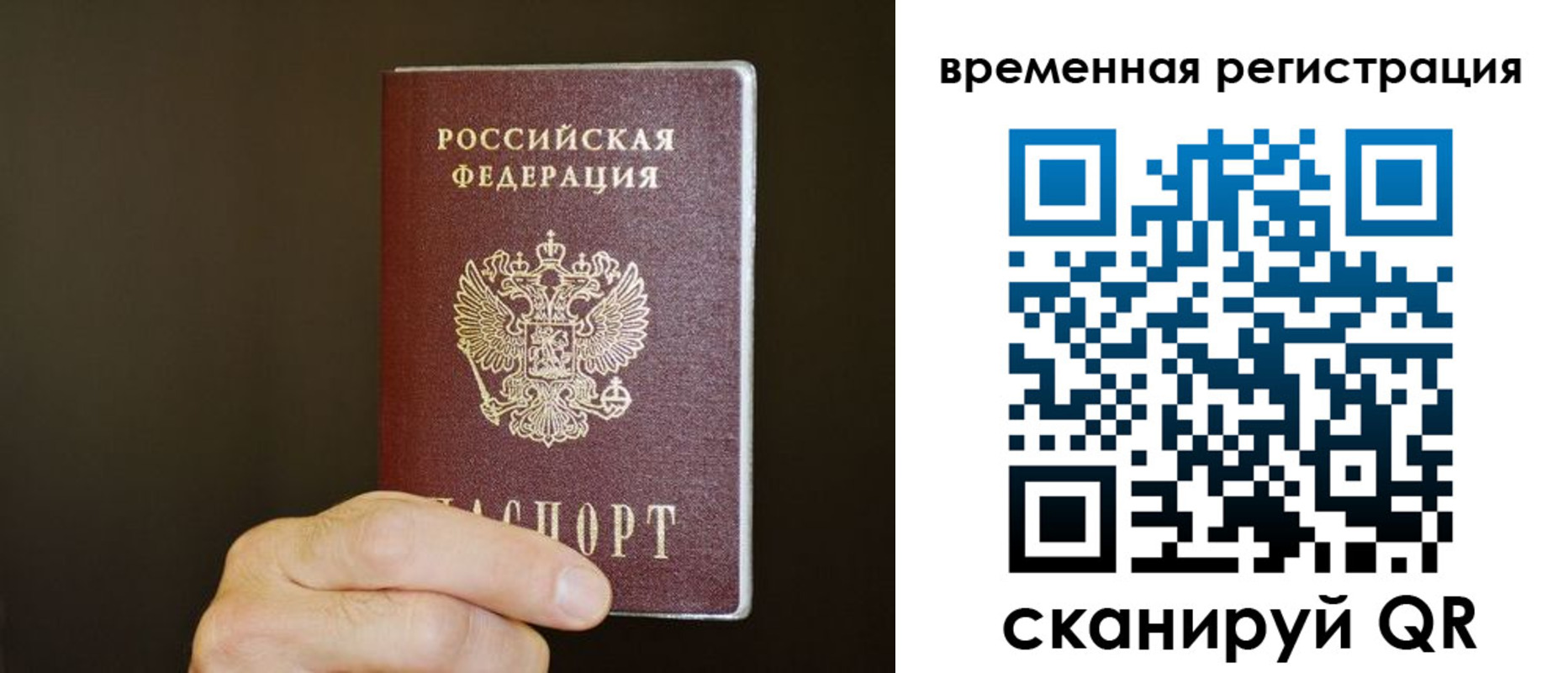прописка гарантия в Лесозаводске